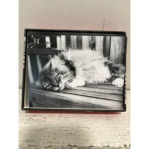 The Contented Cat blank cards with envelopes